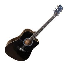 Cherry Stone 801C Cutaway Black