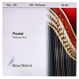 Bow Brand Nat Gut - Pedal 25-Σι (F) 4th Octave