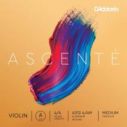 Daddario Ascente, 4/4 - Medium Tension, A