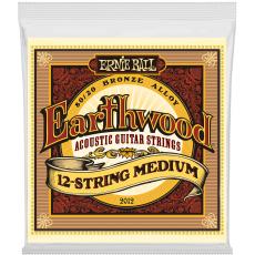 Ernie Ball 2012 Earthwood 80/20 Bronze - 12-String, 11-52