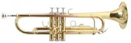 Roy Benson TR-101 Trumpet - Bb