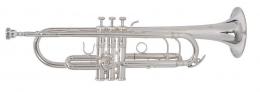 Roy Benson TR-403S Trumpet - Bb