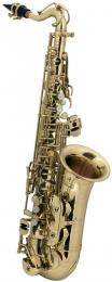 Roy Benson AS-201 Alto Saxophone for Children 