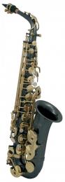 Roy Benson AS-202K Alto Saxophone - Anthracite