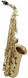 Roy Benson AS-302 Alto Saxophone 