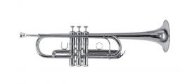 Roy Benson TR-402CS Trumpet - C