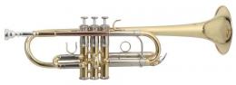 Roy Benson TR-402C Trumpet - C