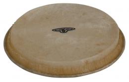 Latin Percussion CP221A Bongo Head - Rawhide, 6