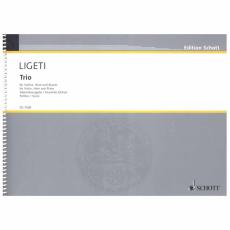 Ligeti - Trio (For Violin, Horn & Piano)