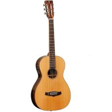 Tanglewood TW5R Winterleaf Dreadnought 